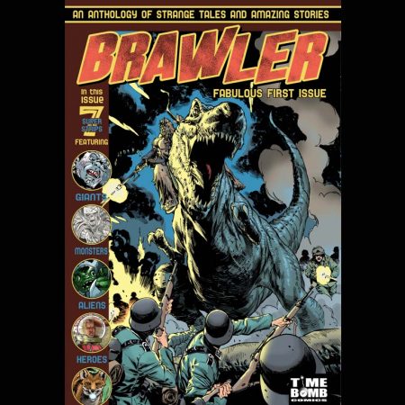 brawler_cover